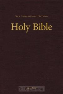 NIV, BROWN HARDCOVER 220X150X25MM