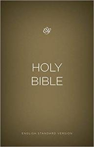 ESV BIBLE BEIGE-GOLD Paperback 215X140X27MM