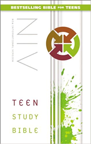 NIV TEEN STUDY BIBLE 220X140X40