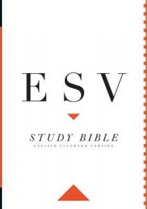 ESV STUDY BIBLE PAPERBACK 210X150X60mm