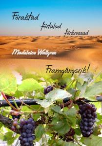 Föraktad, förtalad, förkrossad, framgångsrik