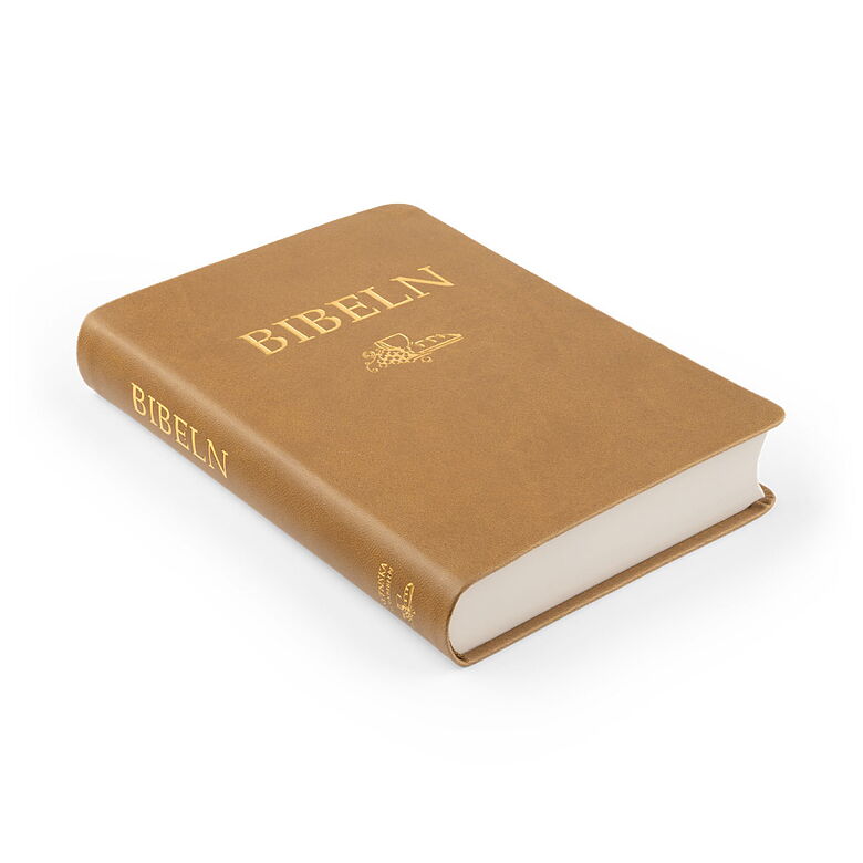 Svenska Folkbibeln 2015 kompaktbibeln brun