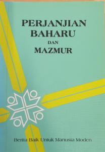 NT, Malaysiska grön, mjukband, 155x105x15 mm