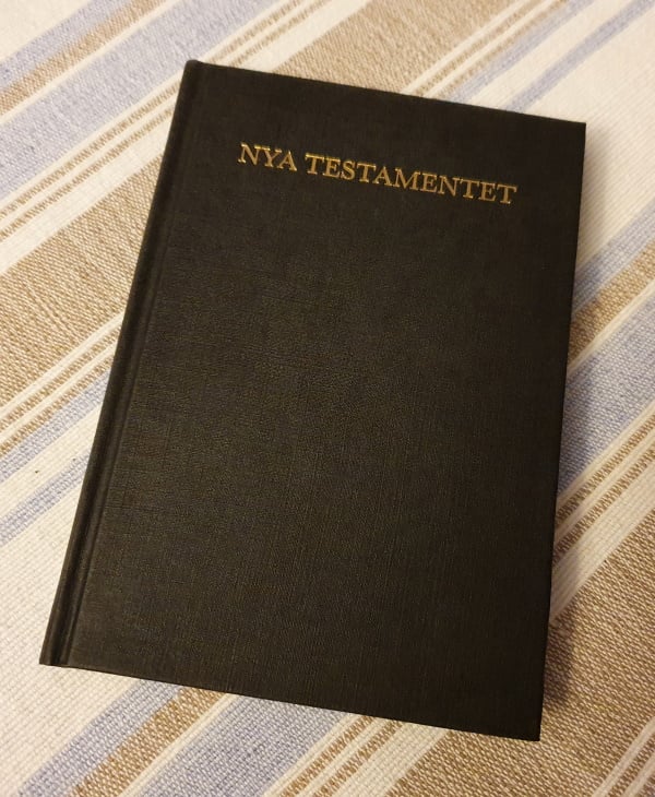 Nya Testamentet, Darbys översättning