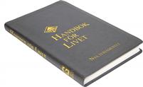 Handbok För Livet, Nya Testamentet, grå, storformat, konstskinn, 250x170x22mm