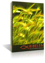 BIBELEN (DAN) MÖRKGRÖNT, MJUKBAND, 208X128X28MM