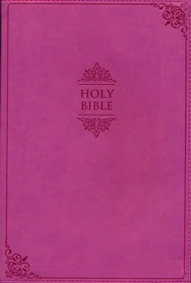 NIV, SOFT COVER, 245x170x25mm