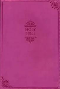NIV, SOFT COVER, 245x170x25mm