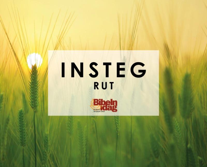 Insteg Rut