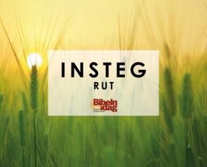Insteg Rut
