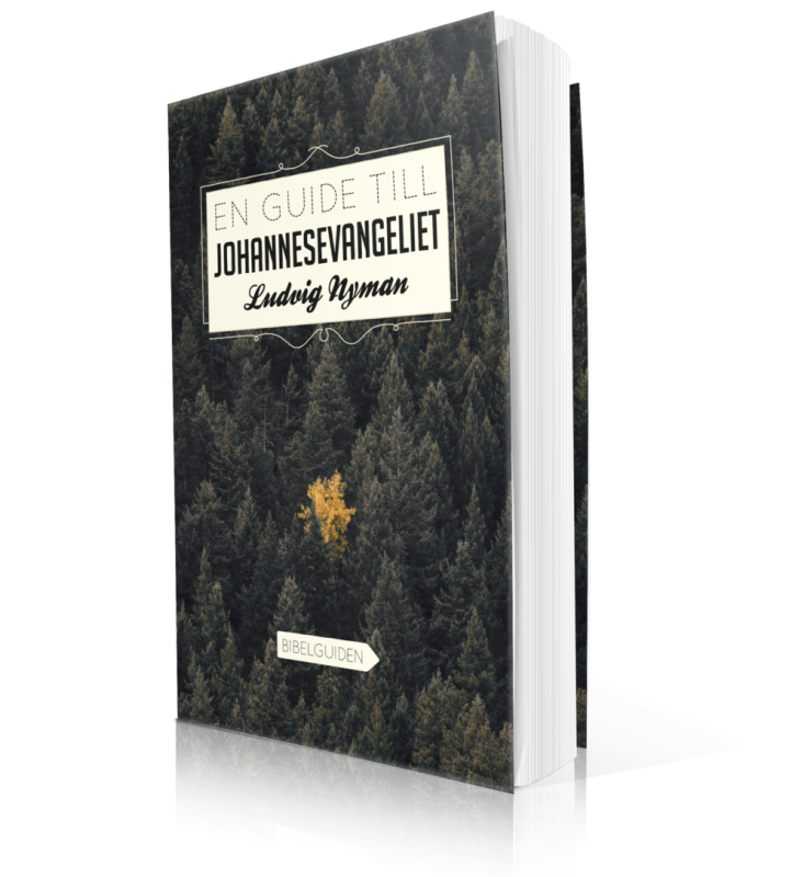 En guide till Johannesevangeliet