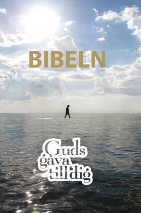 Guds gåva till dig, pocket NT