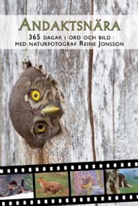 Andaktsnära, 365 dagar i ord och bild