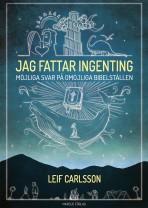 Jag fattar ingenting - Möjliga svar på omöjliga bibelställen