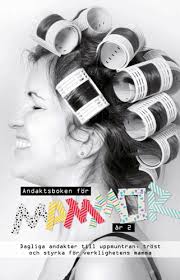Andaktsboken för mammor år 2: Dagliga andakter till uppmuntran, tröst och styrka för verklighetens mamma