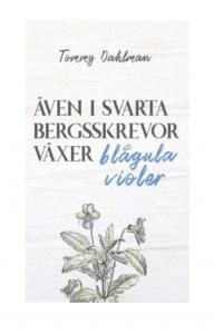 Även i svarta bergsskrevor växer blågula violer