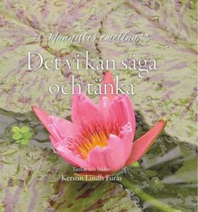 Det vi kan säga och tänka, tankar och bilder