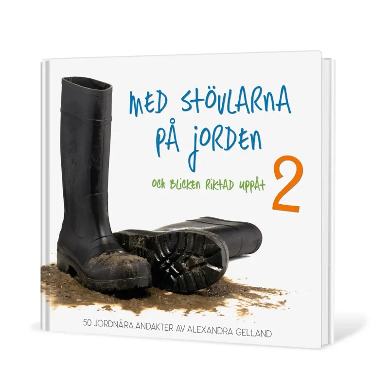Med stövlarna på jorden och blicken riktad uppåt 2, 50 jordnära andakter