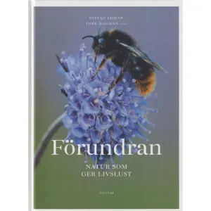 Förundran