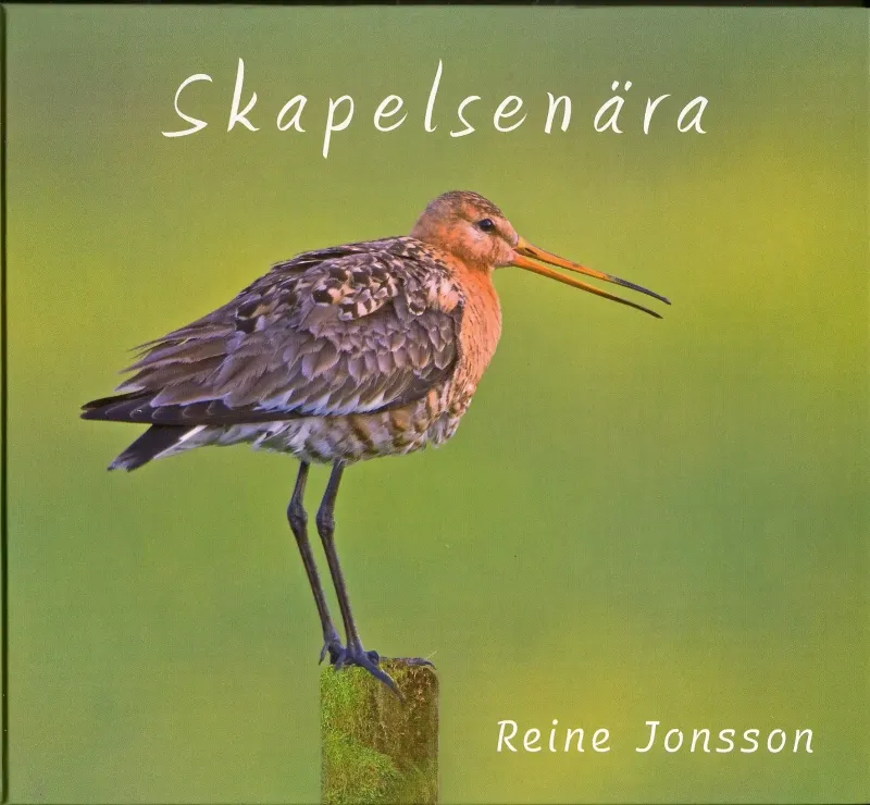 Skapelsenära
