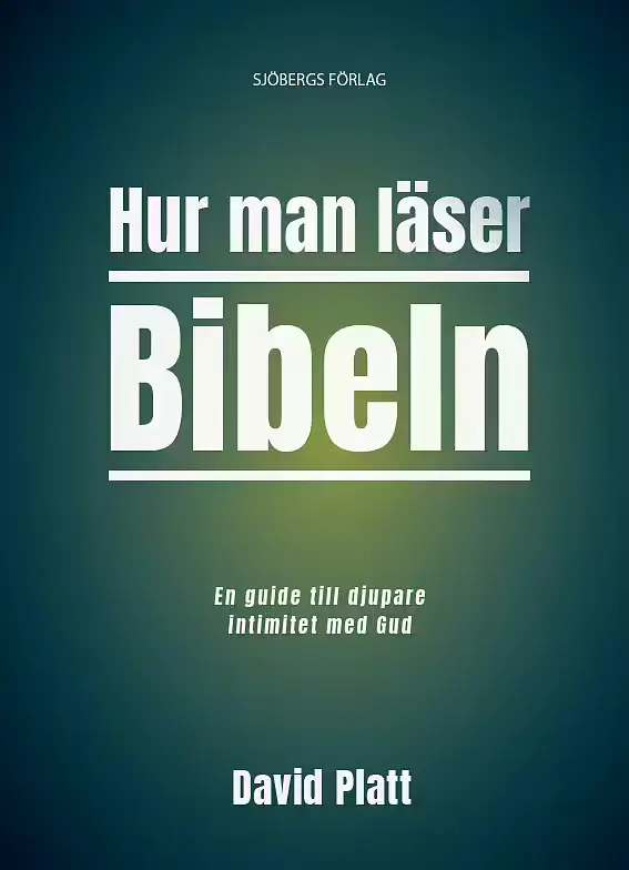 Hur man läser Bibeln