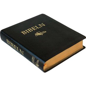 Svenska Folkbibeln 2015, anteckningsbibel, konstskinn, svart, guldsnitt, 8,5 punkter, 240x205x35