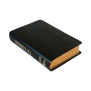 Svenska Folkbibeln 2015, mellanformat, skinn, svart, guldsnitt, 8,5 punkter, 208x140x36 mm