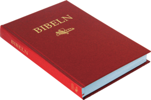 Svenska Folkbibeln 2015, slim, hårdpärm, röd, 8,5 punkter, 217x145x26 mm