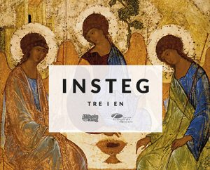 Insteg, tre i en