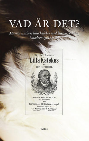 Vad är det? Martin Luthers lilla katekes med kort utveckling i modern språkdräkt