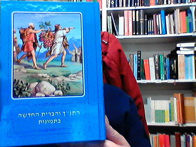 BARNBIBEL HEBREISKA ילדי התנ"ך