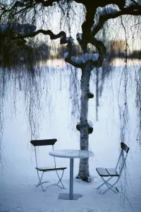 Stol CLASSIC No.2 i oljad eller svart mahogny