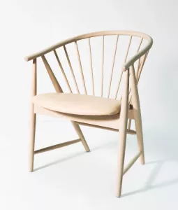 Fåtölj SOLFJÄDERN med skinnsits