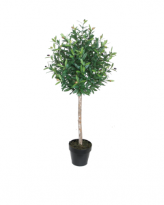 Oliv Träd 120 cm
