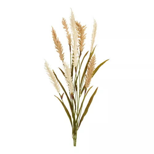 Decorative Grass