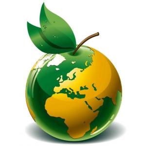 Kvalitets-, Miljö- och Arbetsmiljösystem