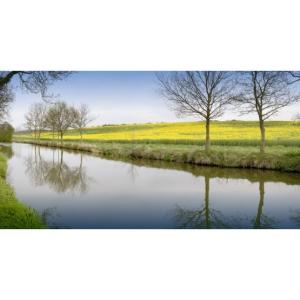 Miljöpolicy exempel