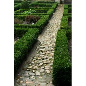 Trädgårdsanläggning Kvalitetsplan