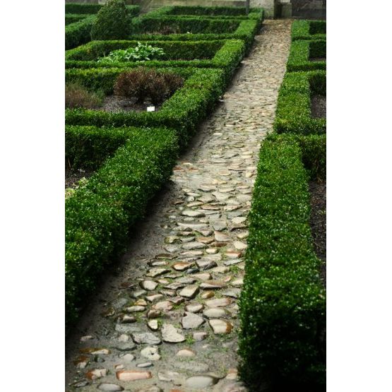 Trädgårdsanläggning Miljöplan