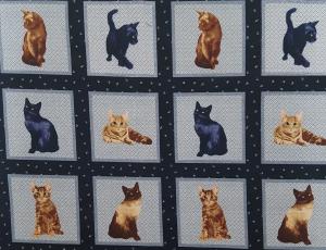 My Pet Family  180 kr/m