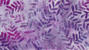 Whild Garden   240 kr