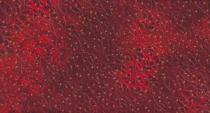 Mixed Metallics  280 kr/m