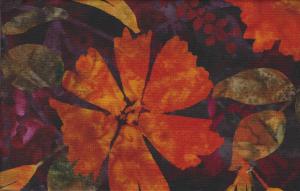 Rainbow Crafter    216kr/m                  ( 270 kr/m)