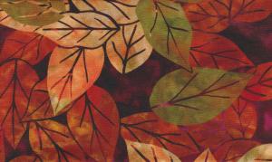 Naturae Trail  270 kr/m