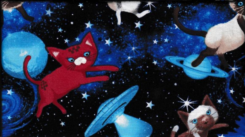 Cat Space  150 kr/m     (190 kr/m)