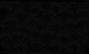 Better Basics  240kr/m