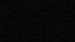 Black out   190 kr/m