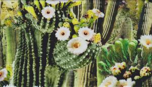 Southwest Sunset  Nu 190 kr/m     270 kr/m