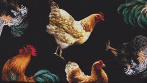 Farm Stand   260 kr/m