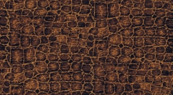 Etched Dragonefly   190 kr/m